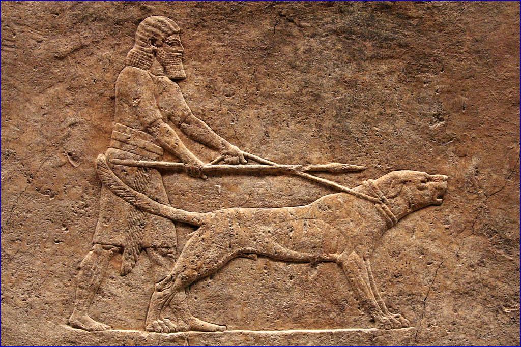 The Assyrian War Dog